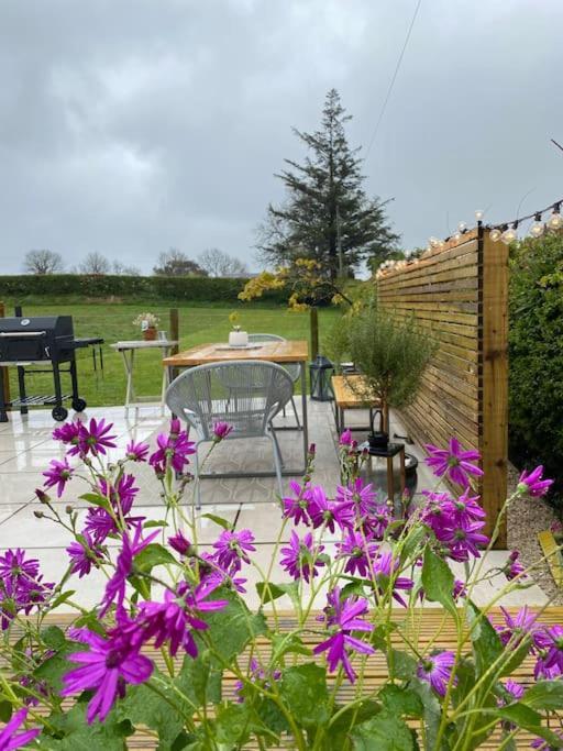 anglesey scandi cabin Pentraeth Esterno foto